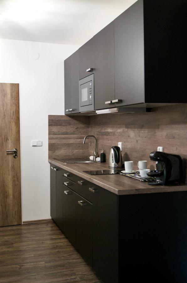 Apartmany Za Divadlem 布劳莫夫 外观 照片